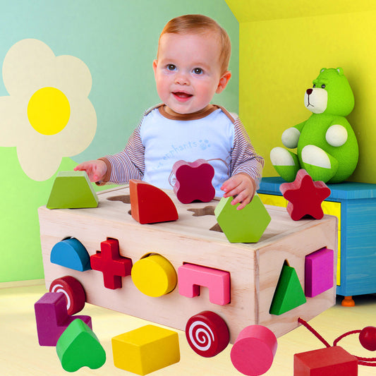 Shape Matching Wooden Building Blocks Set